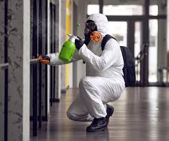 Environmental Consulting for Mold Prevention in Bethpage, NY